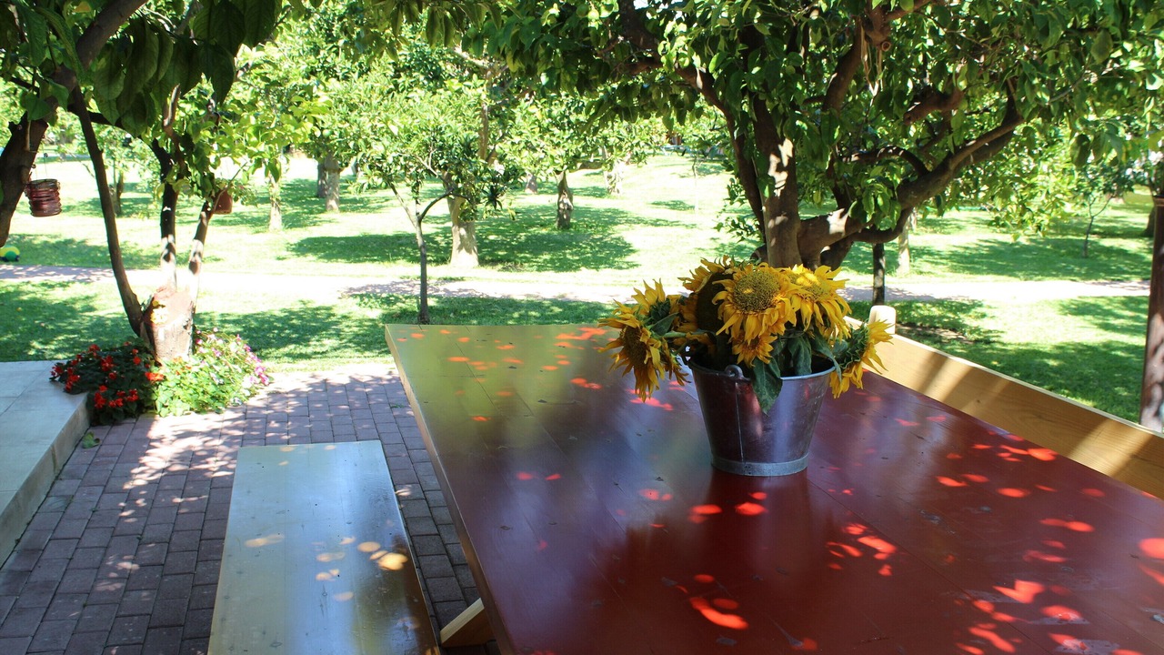 Photo of Patio Balcony in Valimitika