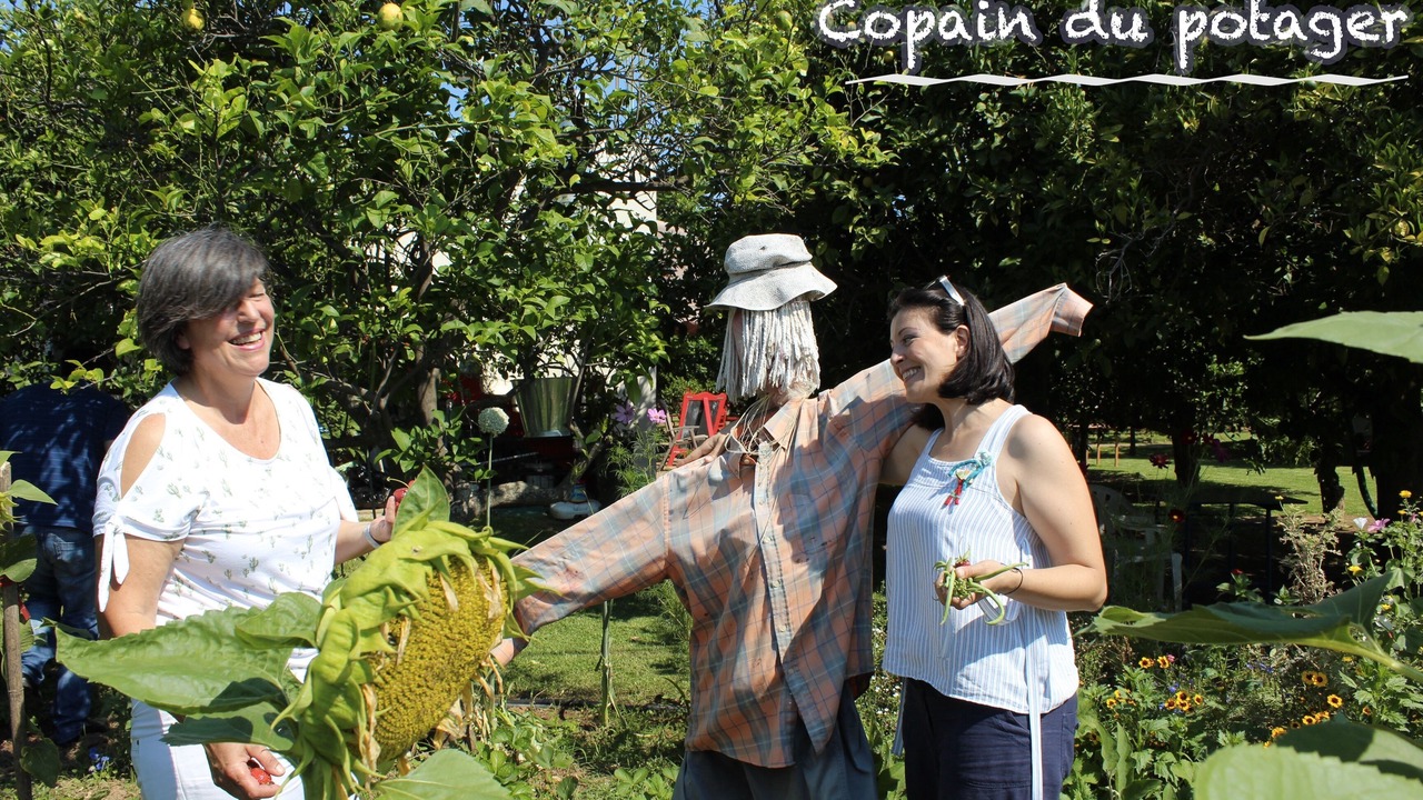 Photo of Outdoor in Valimitika