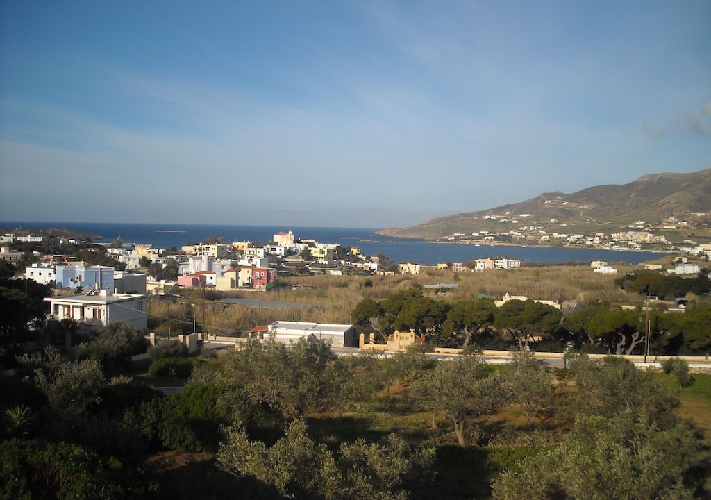 Photo of Others in Posidonia