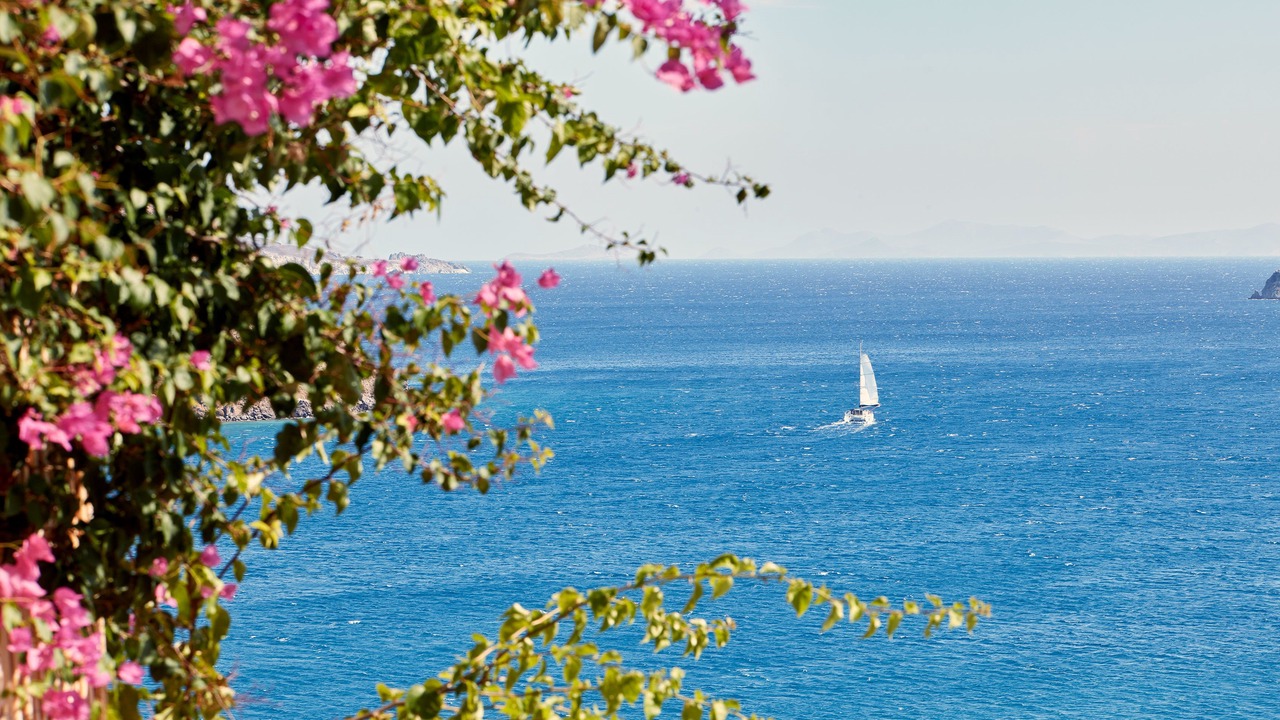 Photo of Outdoor in Skala