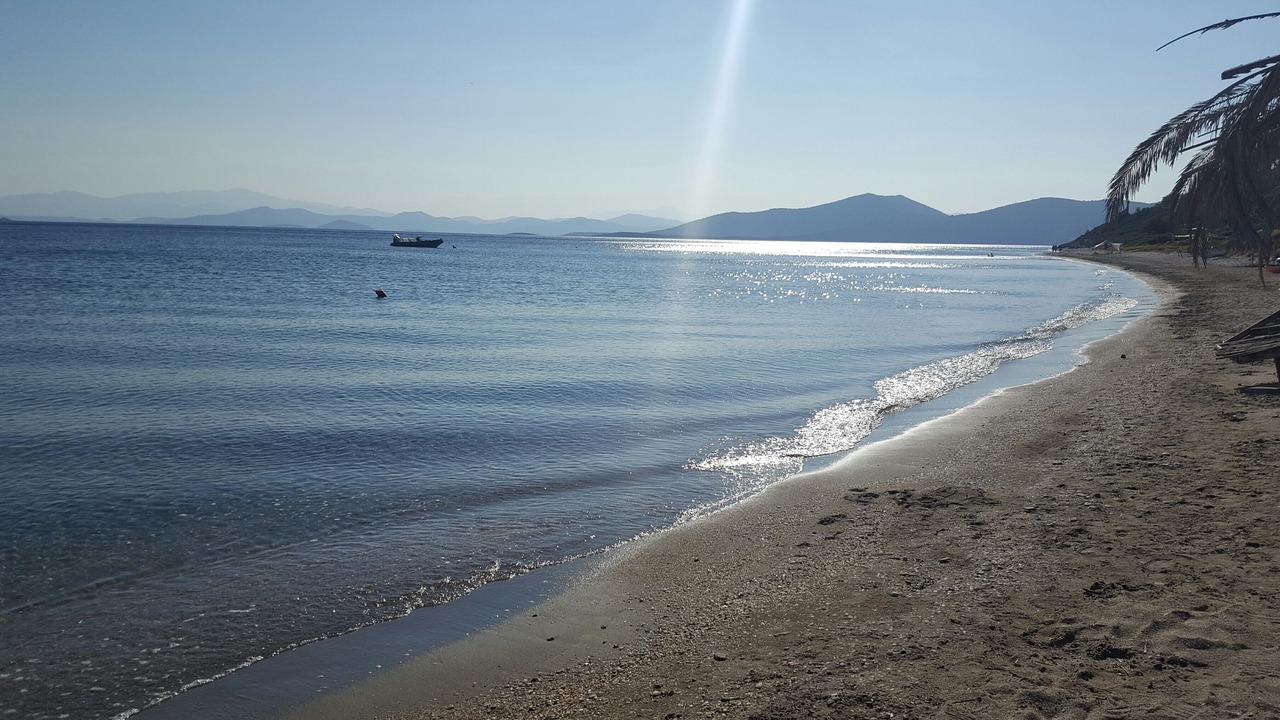 Photo of Others in Nea Styra