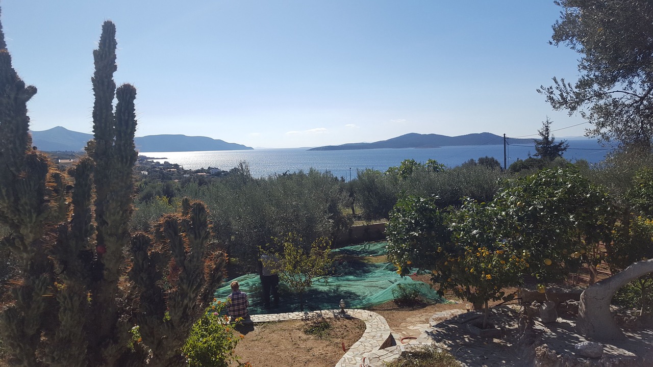 Photo of Outdoor in Nea Styra