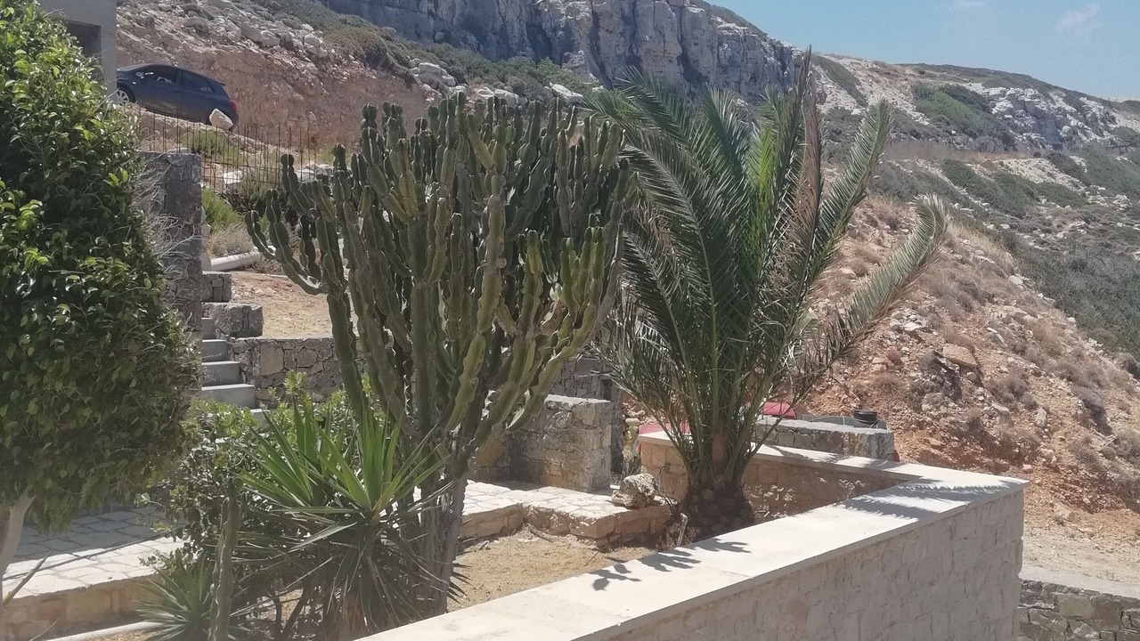 Photo of Outdoor in Sitia