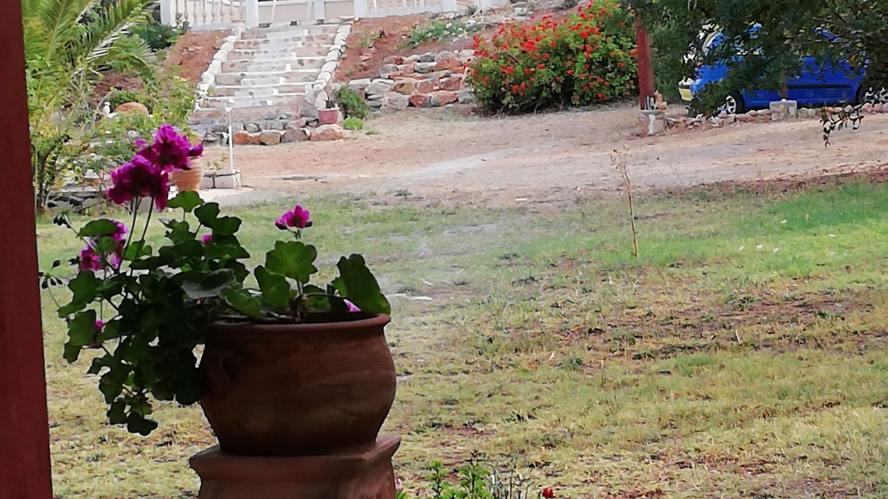 Photo of Outdoor in Old Hersonissos