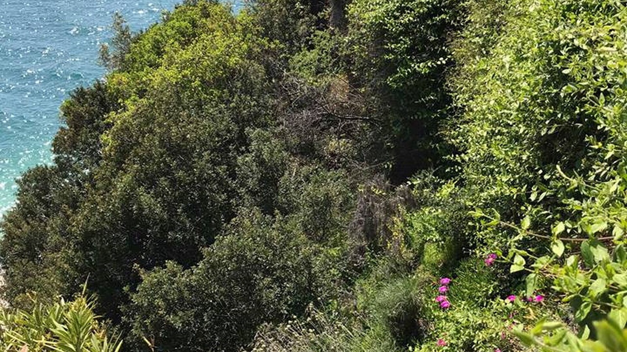 Photo of Outdoor in Kefalari