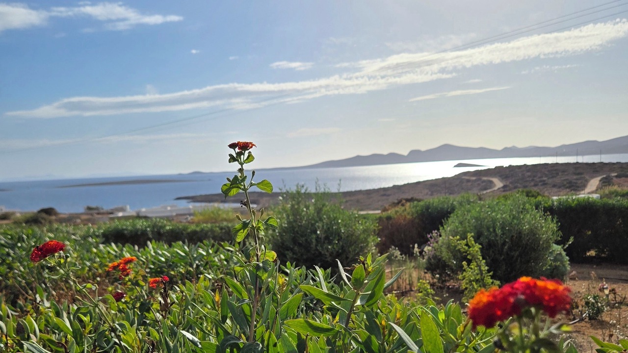 Photo of Others in Paros