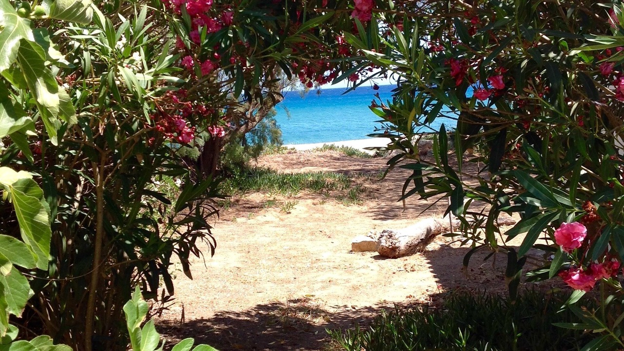 Photo of Others in Koroni