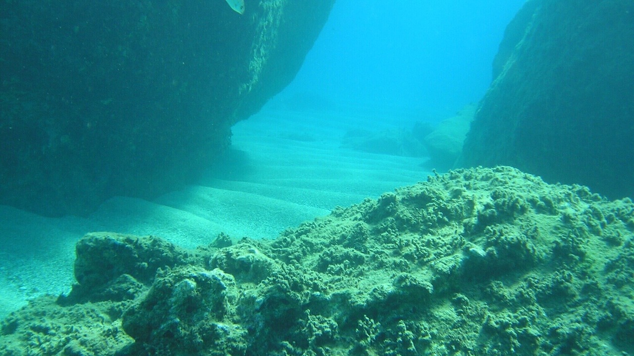 Photo of Others in Plakias