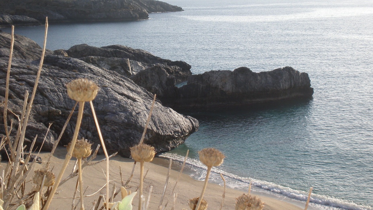 Photo of Others in Plakias