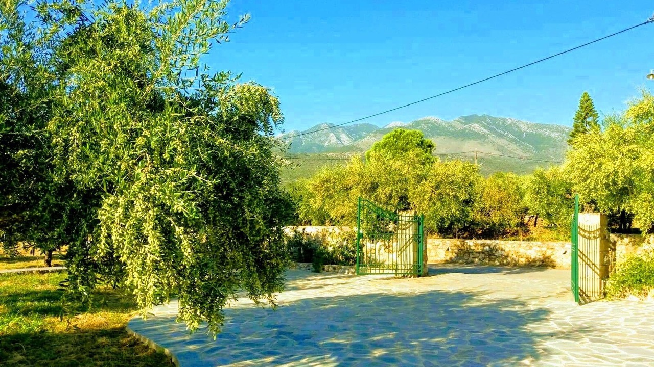 Photo of Others in Riglia