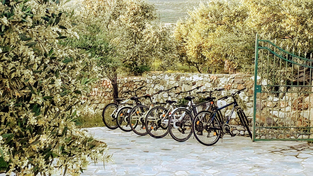 Photo of Others in Riglia