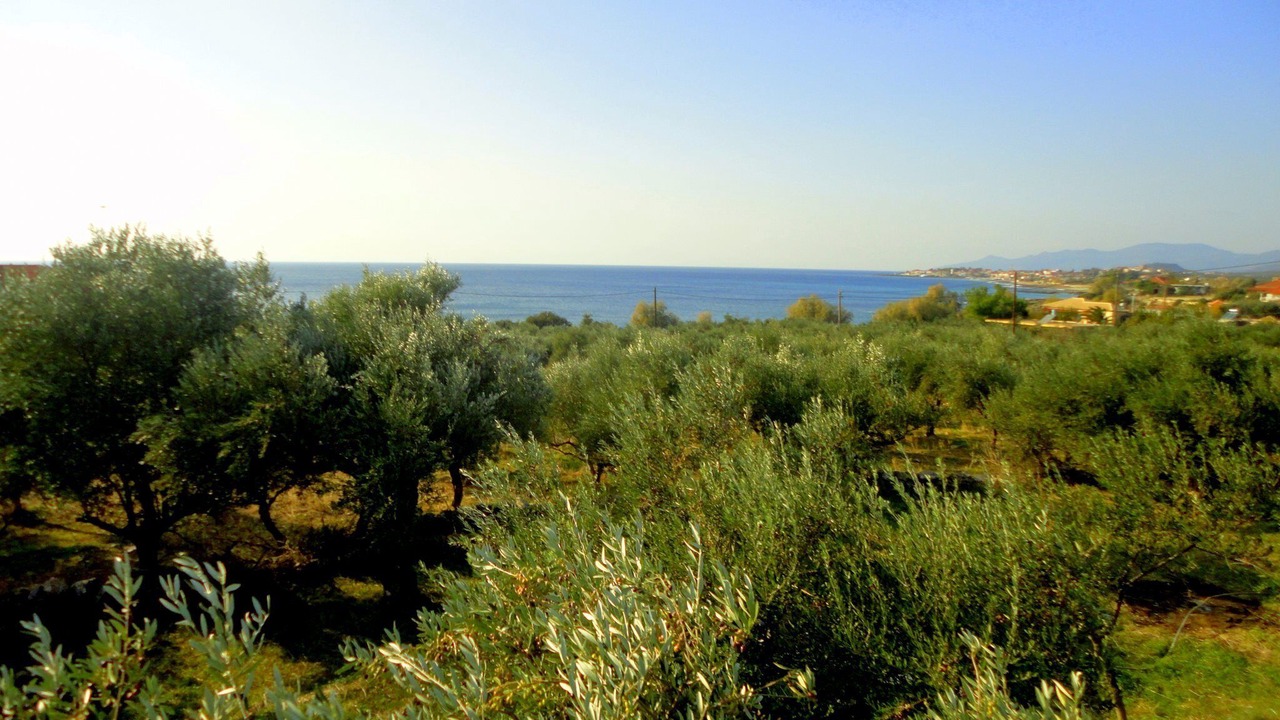 Photo of Others in Riglia