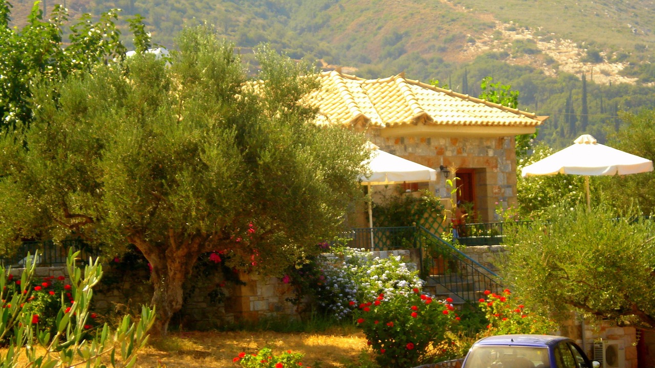Photo of Others in Riglia