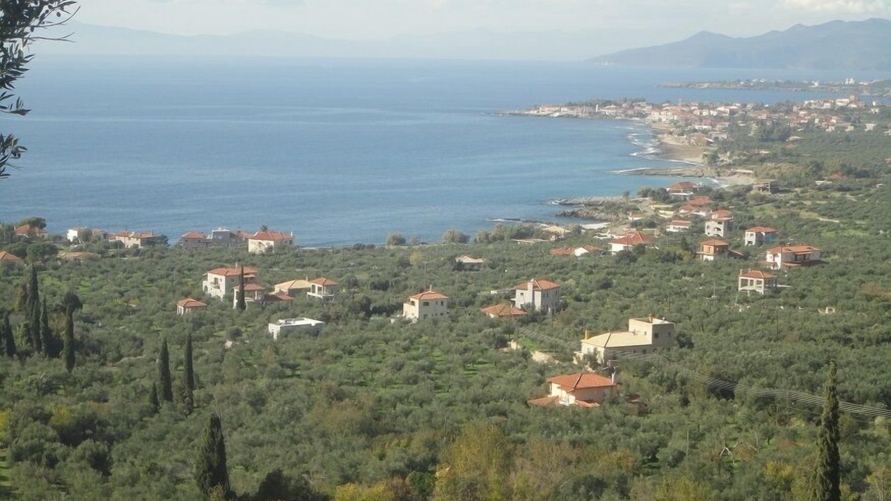 Photo of Others in Riglia