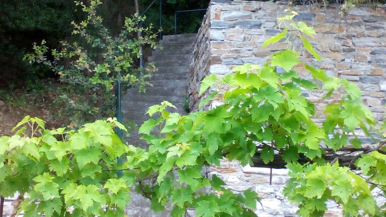Photo of Outdoor in Keramidi