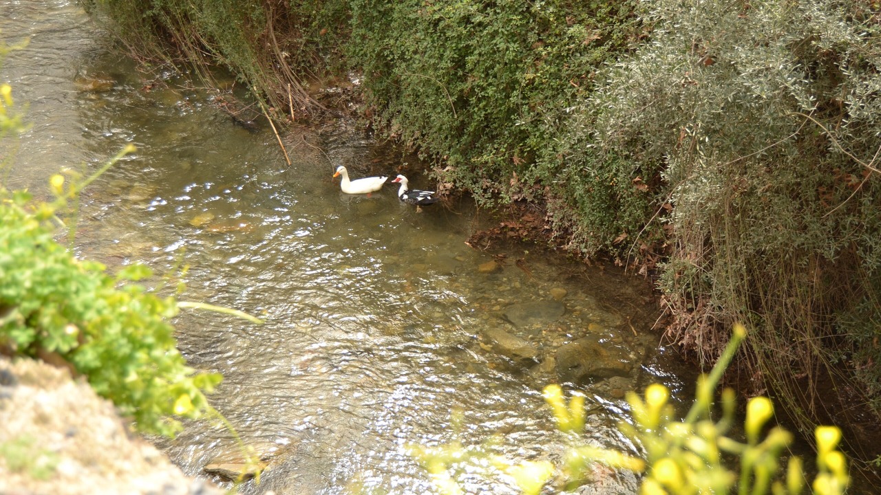Photo of Outdoor in Platanias