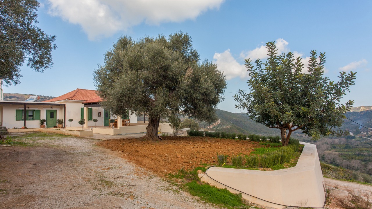 Photo of Outdoor in Platanias