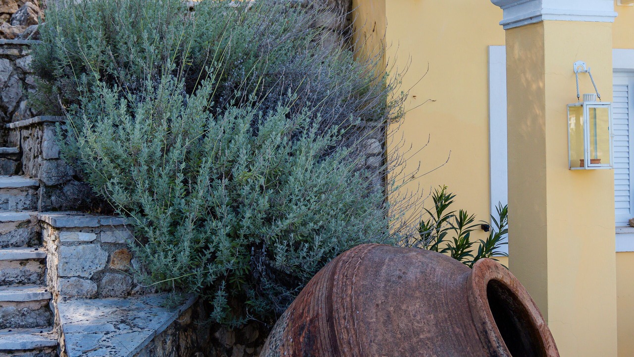 Photo of Outdoor in Kentroma