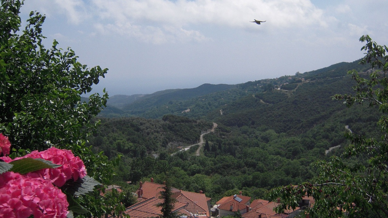 Photo of Others in Agia