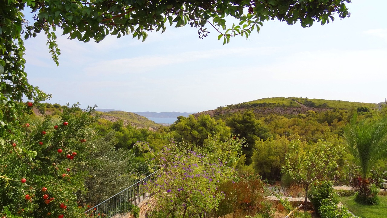 Photo of Outdoor in Agios Constantios