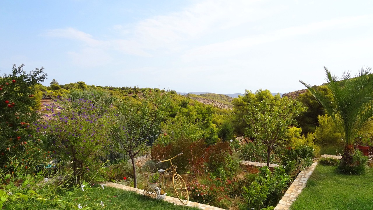 Photo of Outdoor in Agios Constantios