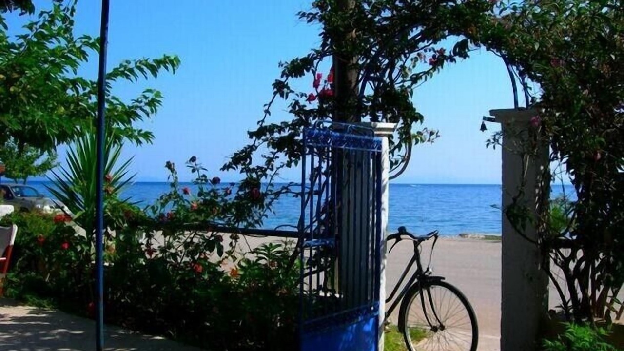 Photo of Others in Poros