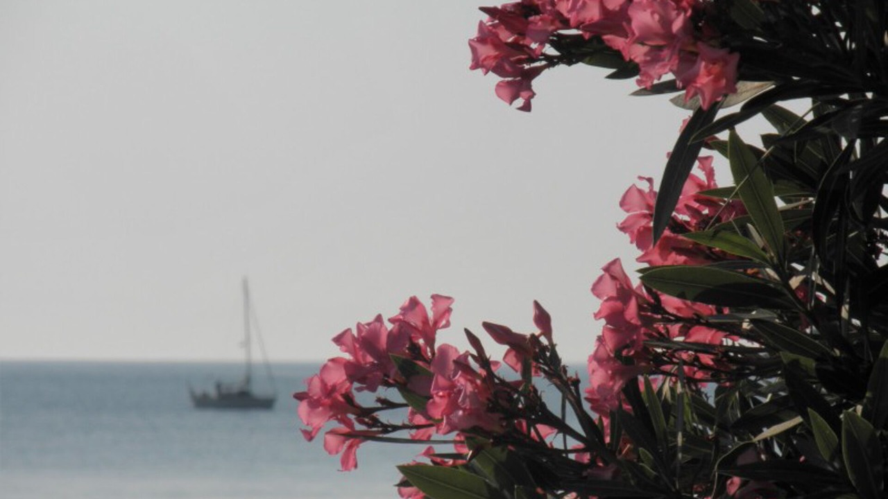 Photo of Others in Poros