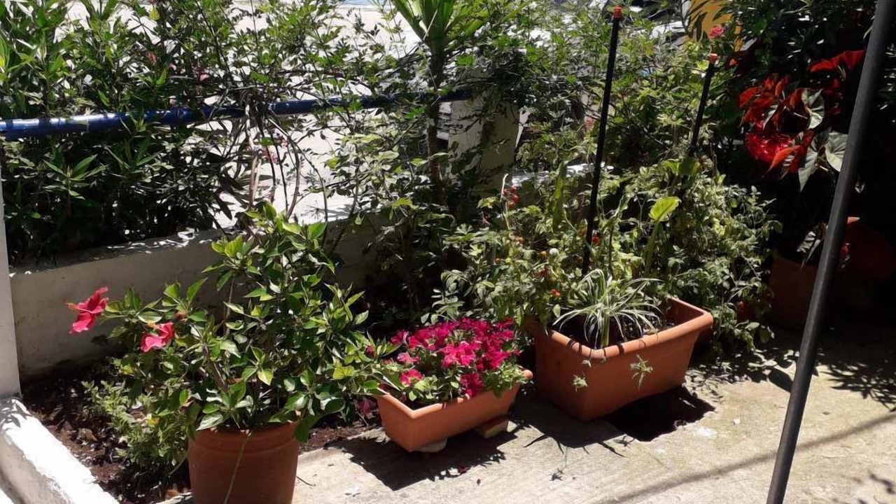 Photo of Outdoor in Poros