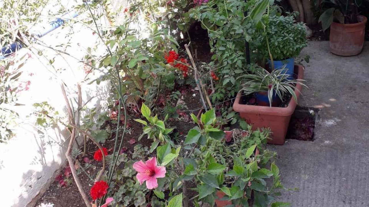 Photo of Outdoor in Poros