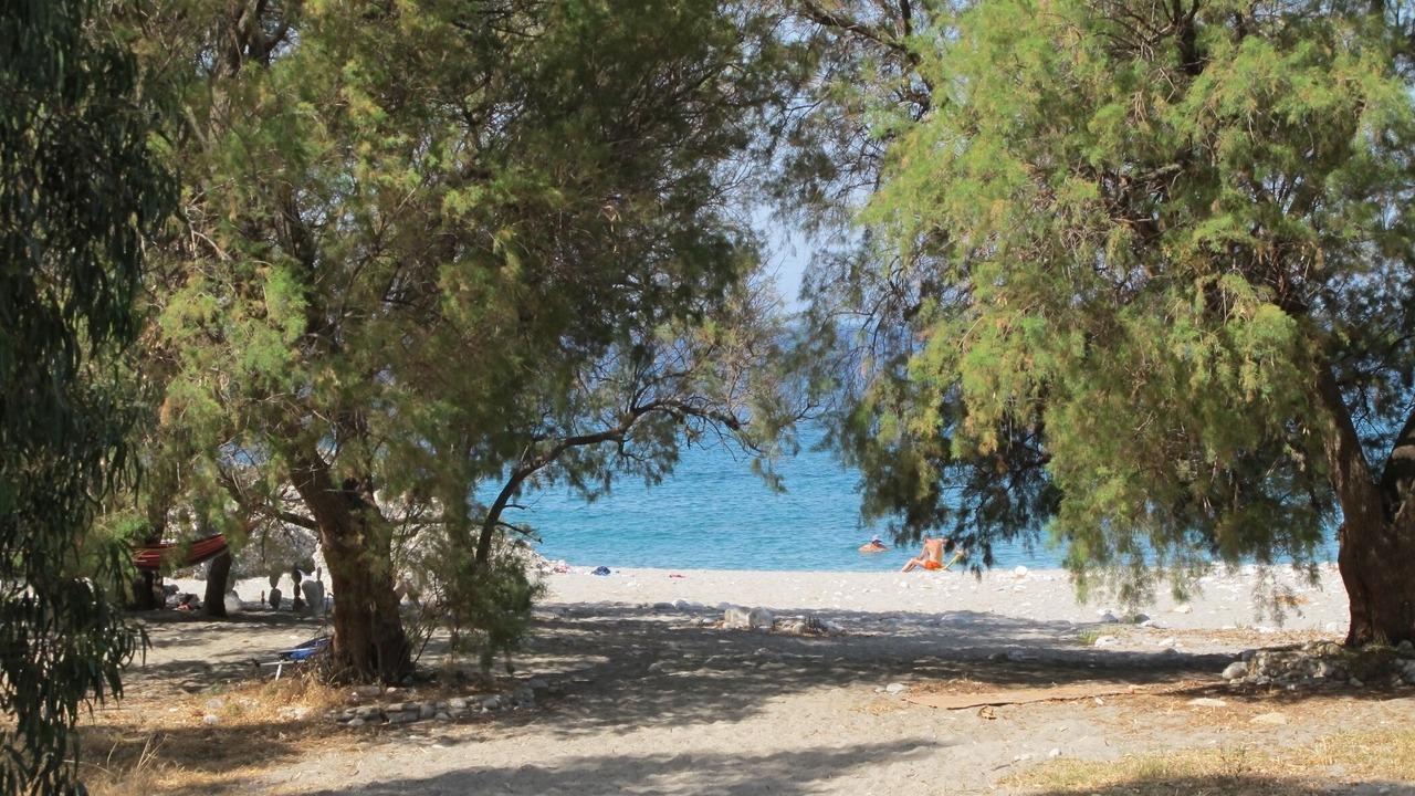 Photo of Others in Lefktron