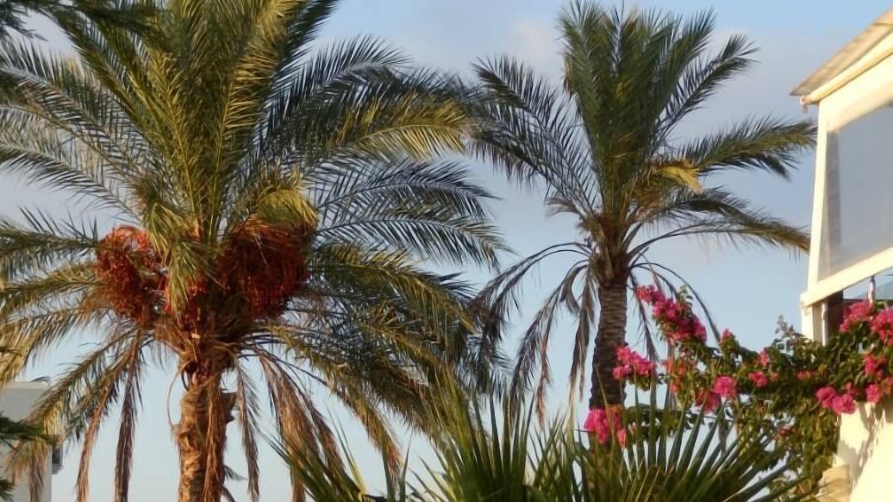 Photo of Outdoor in Analipsi