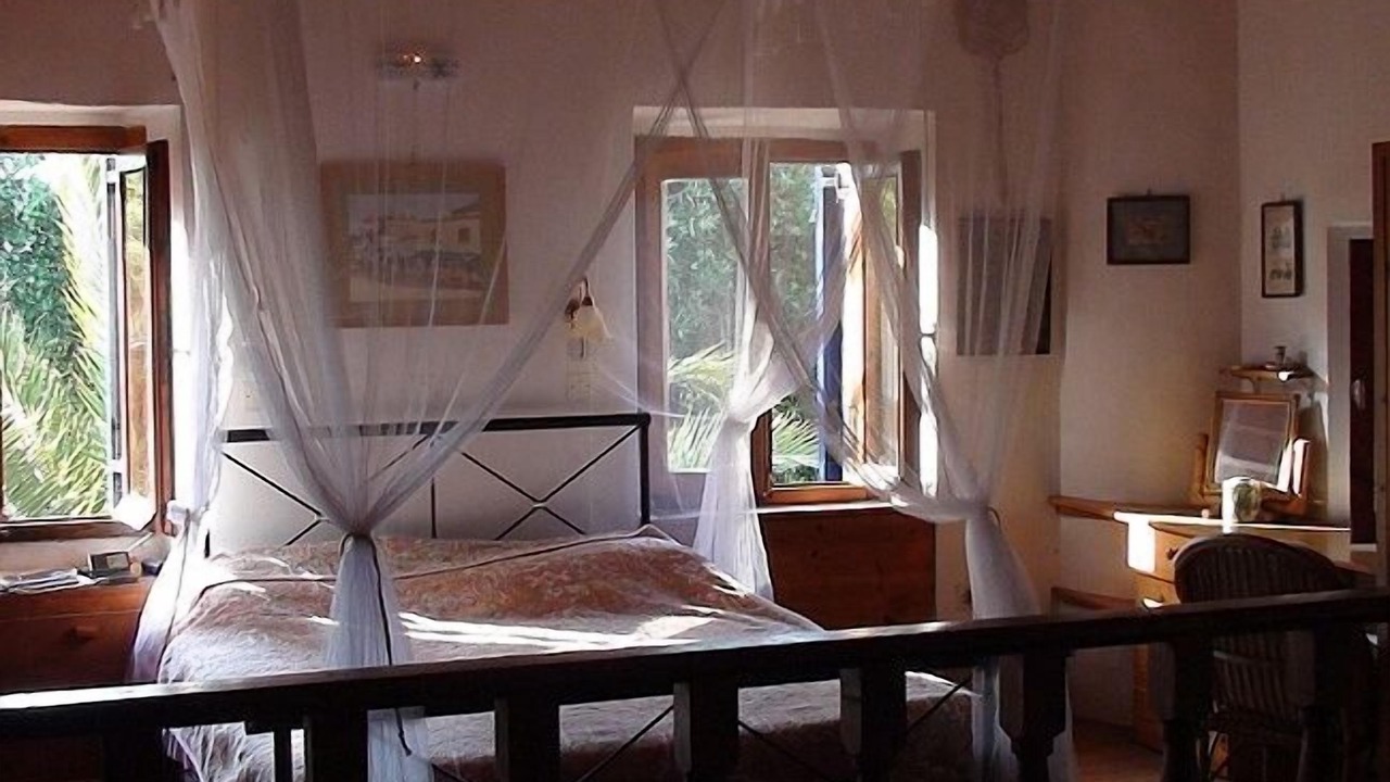 Photo of Others in Paxos