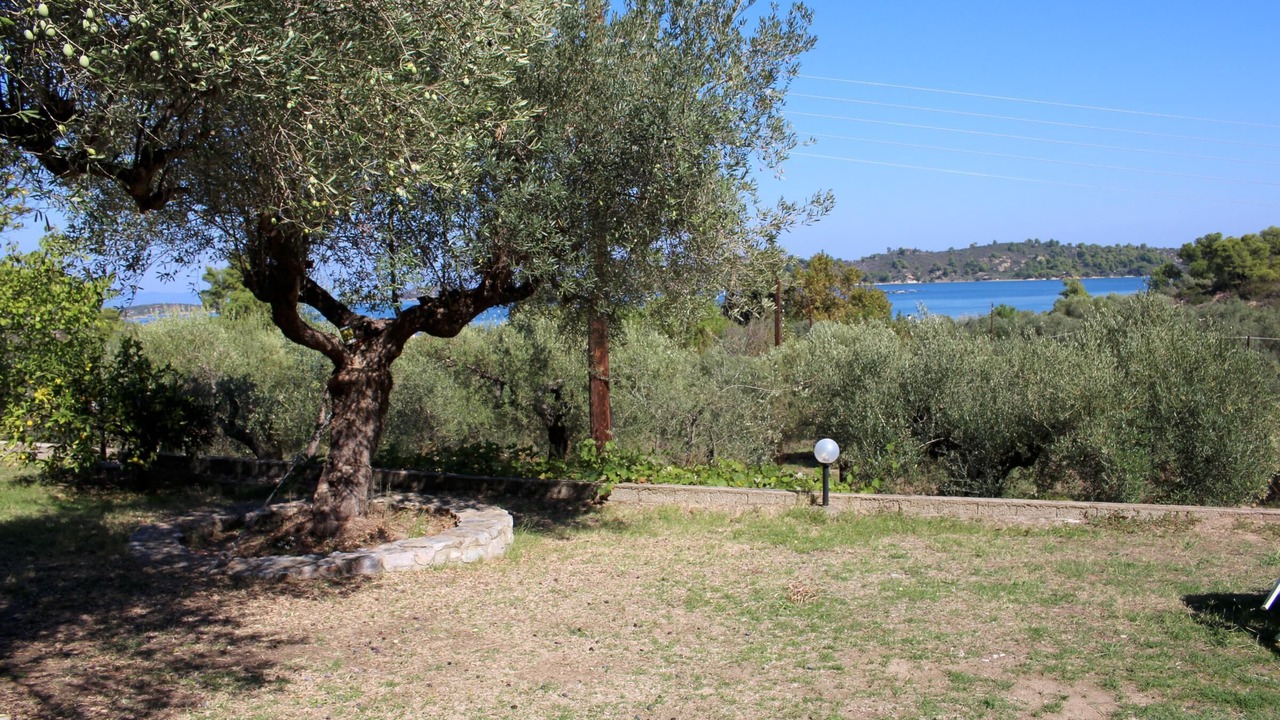 Photo of Outdoor in Sithonia