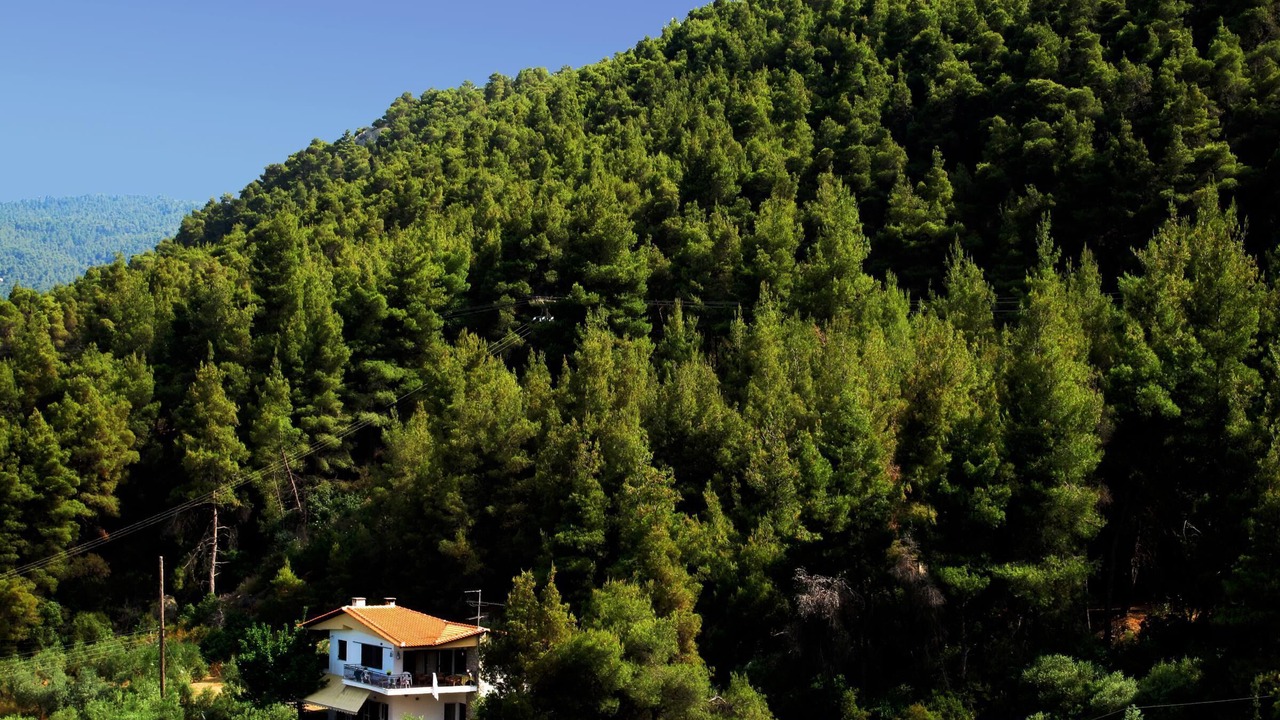 Photo of Others in Sithonia