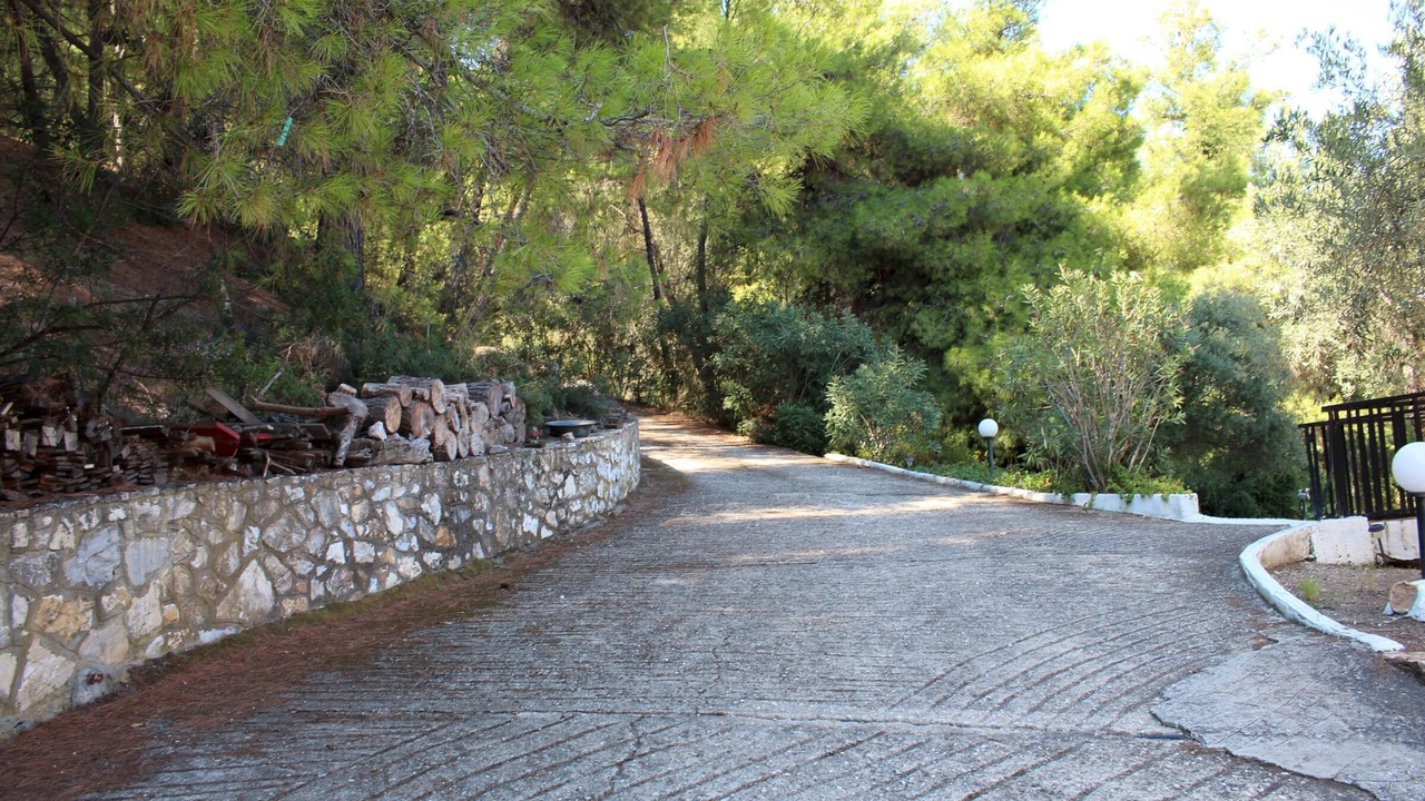 Photo of Others in Sithonia