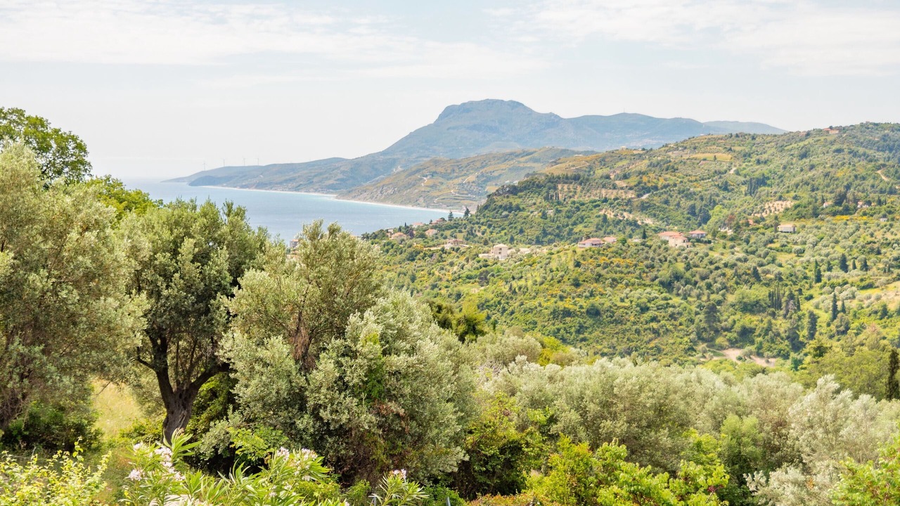 Photo of Outdoor in Enoria