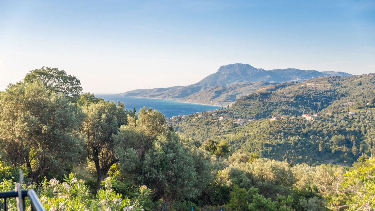 Photo of Others in Enoria