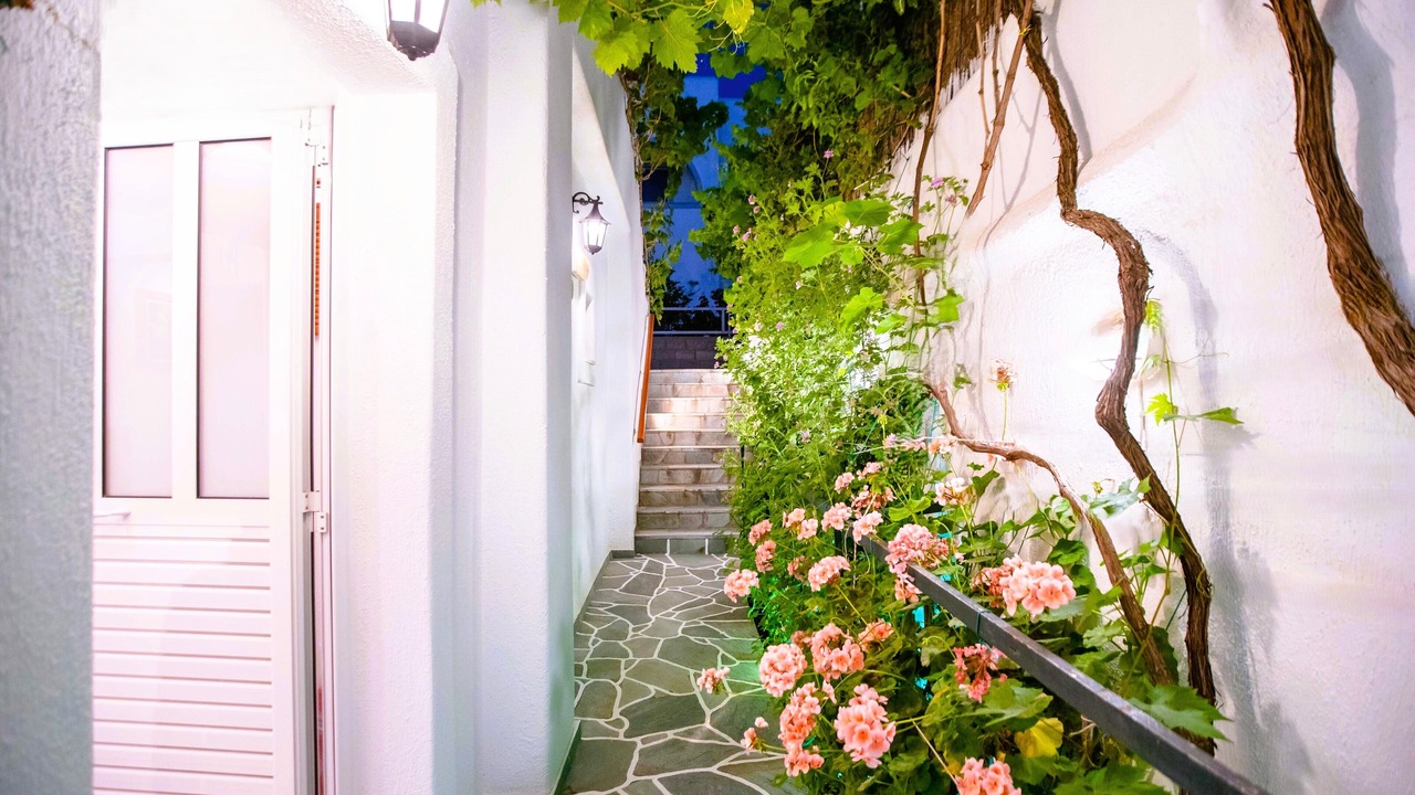 Photo of Outdoor in Paros