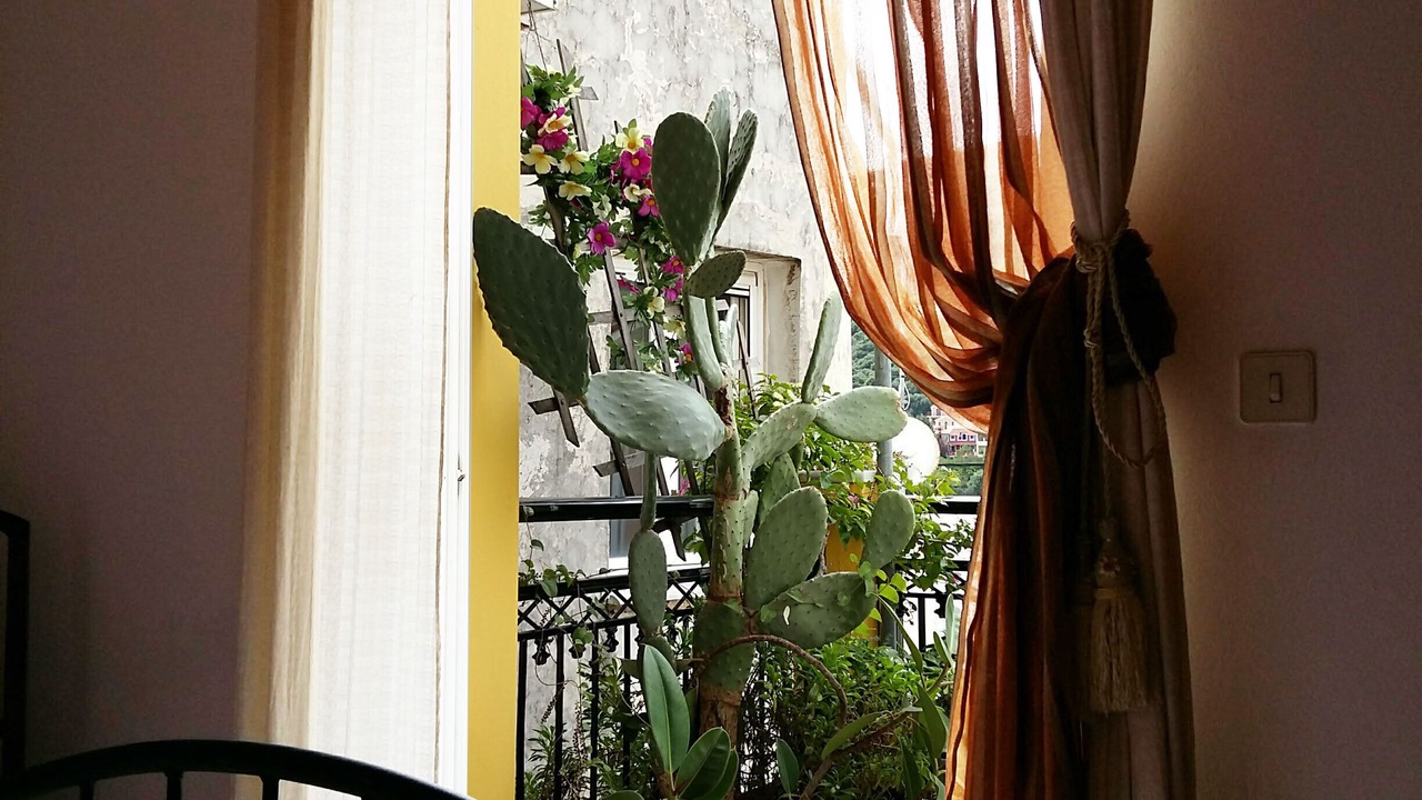 Photo of Bedroom in Agia Efimia