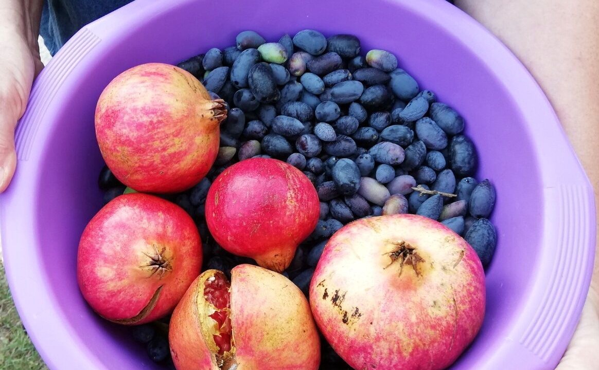 Photo of Others in Pylos-Nestoras