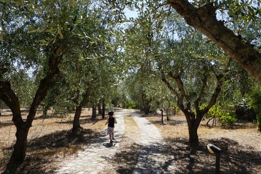 Photo of Outdoor in Pylos-Nestoras