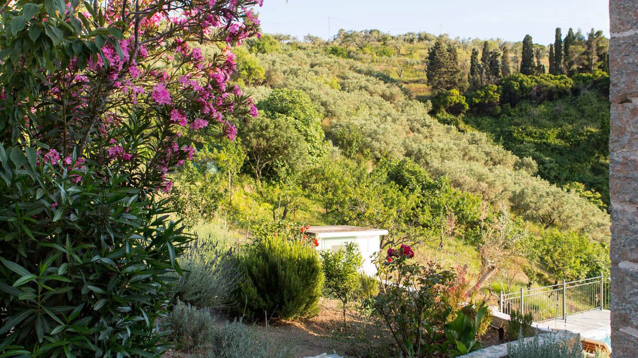 Photo of Outdoor in Glossa