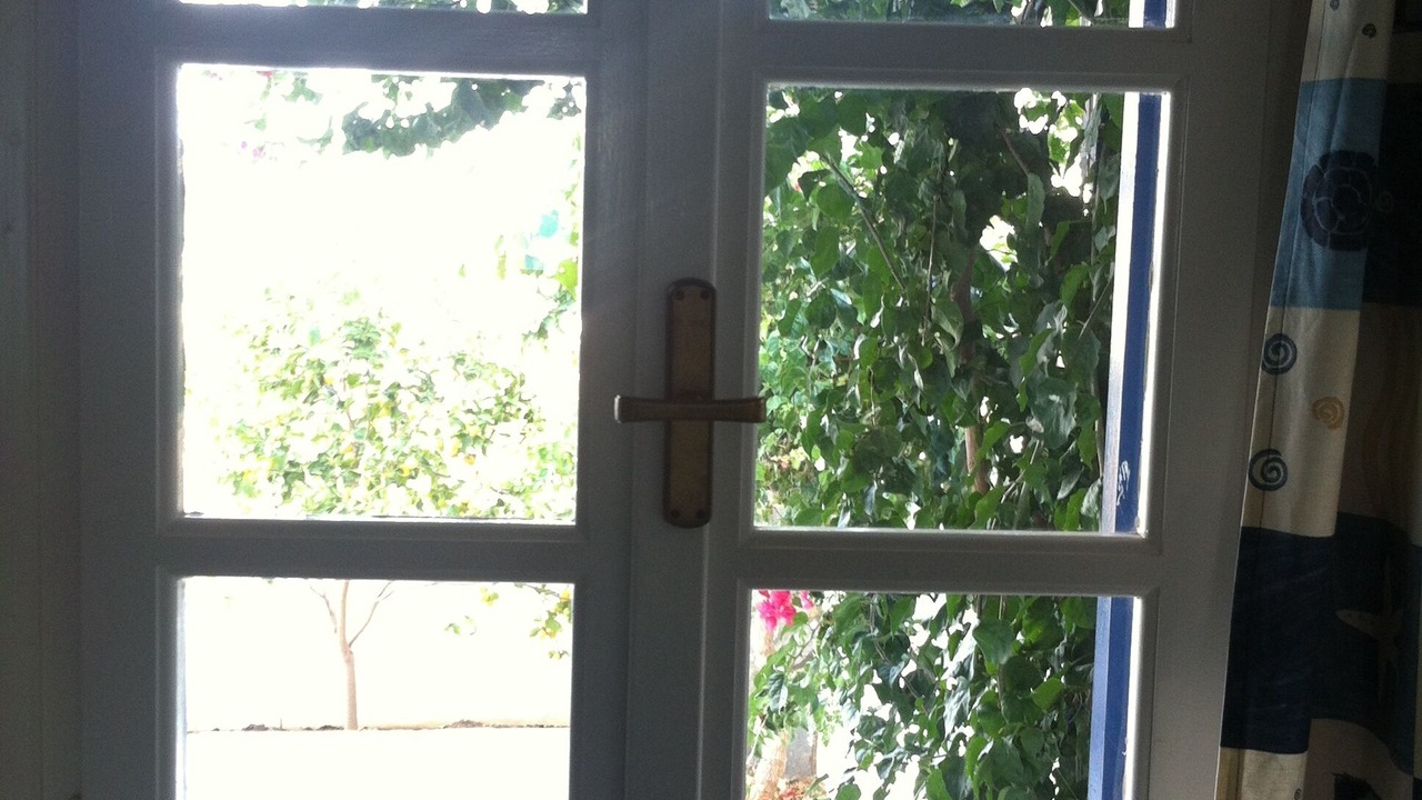 Photo of Others in Aliki