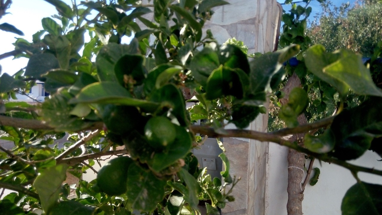 Photo of Outdoor in Aliki