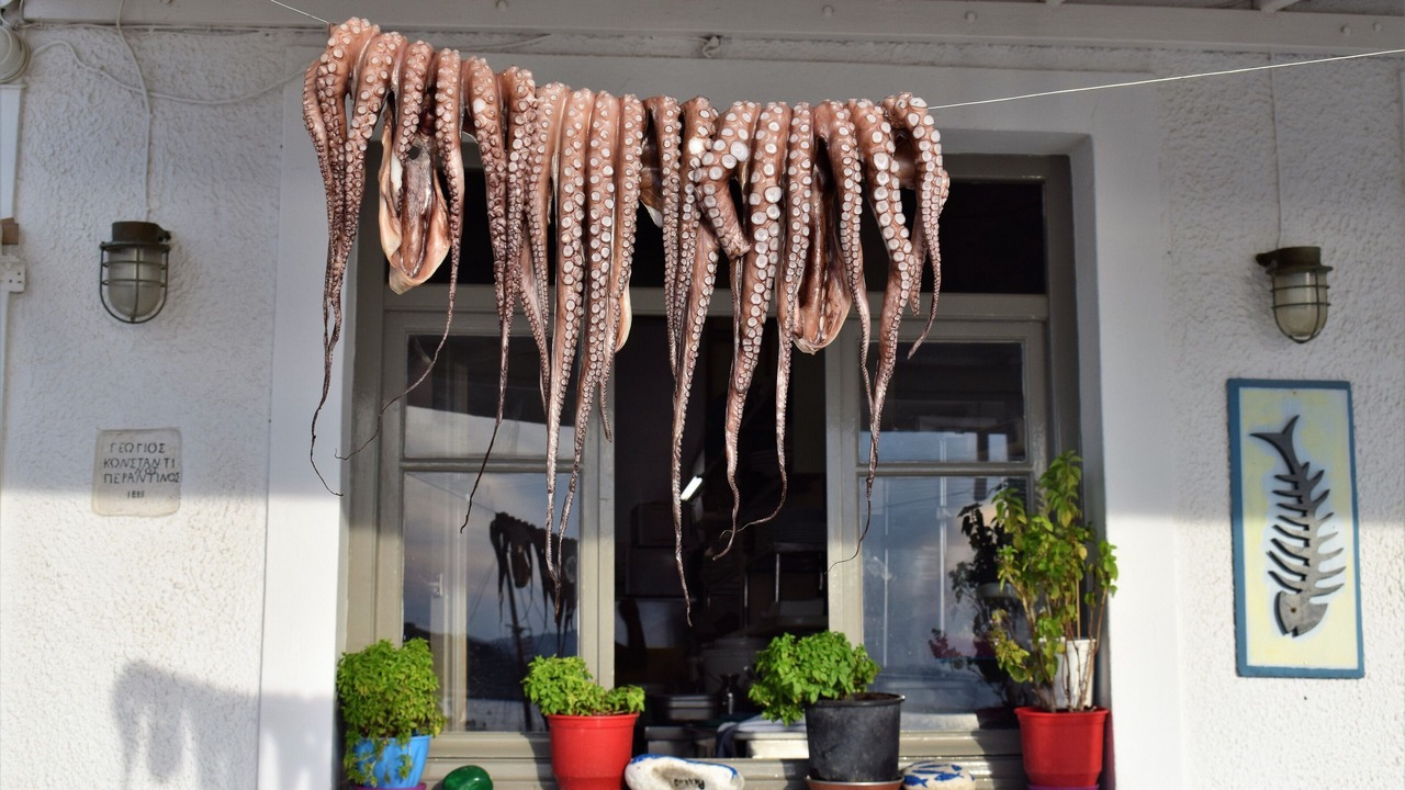 Photo of Outdoor in Aliki