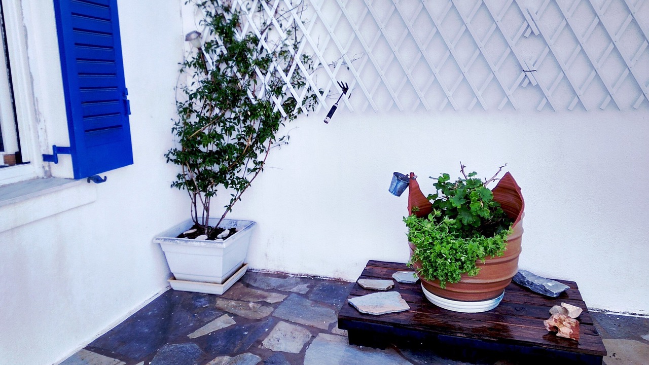 Photo of Outdoor in Aliki