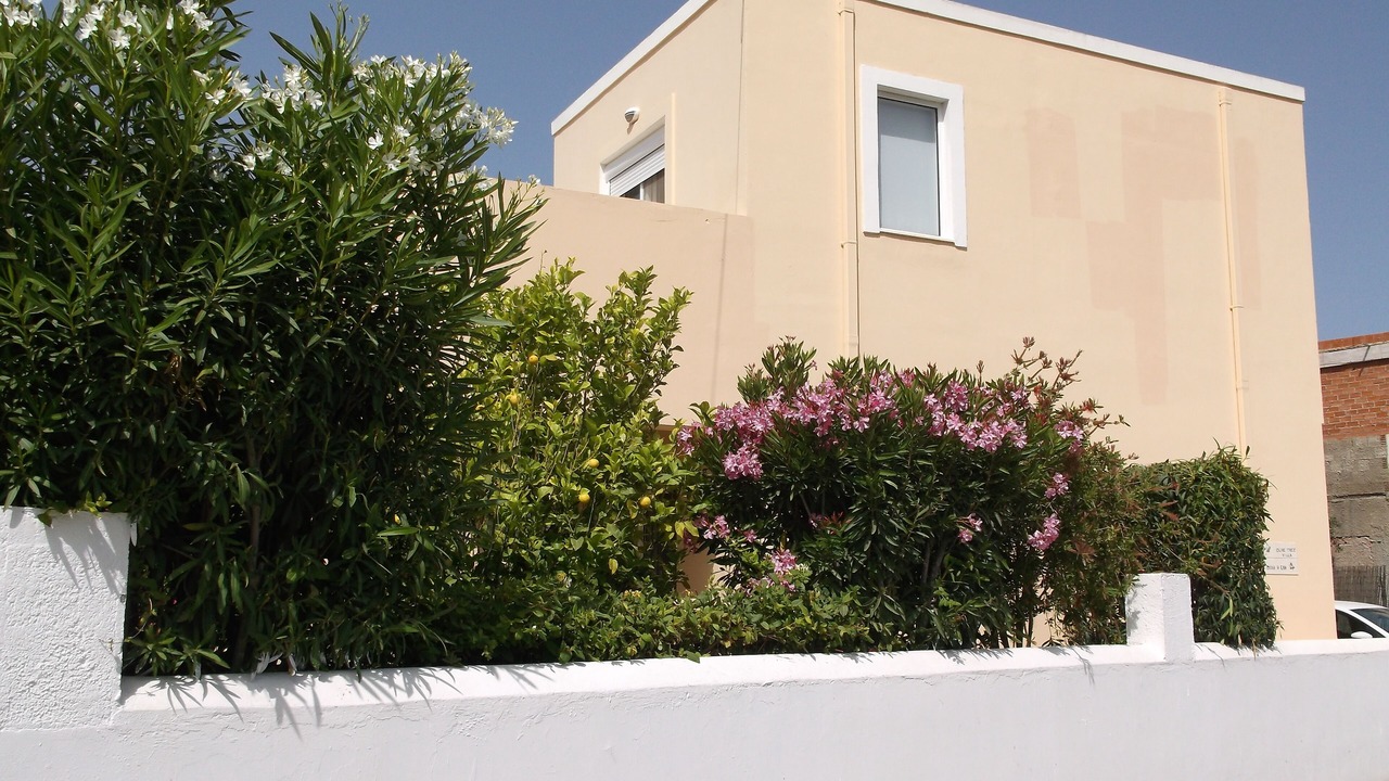 Photo of Others in Lardos