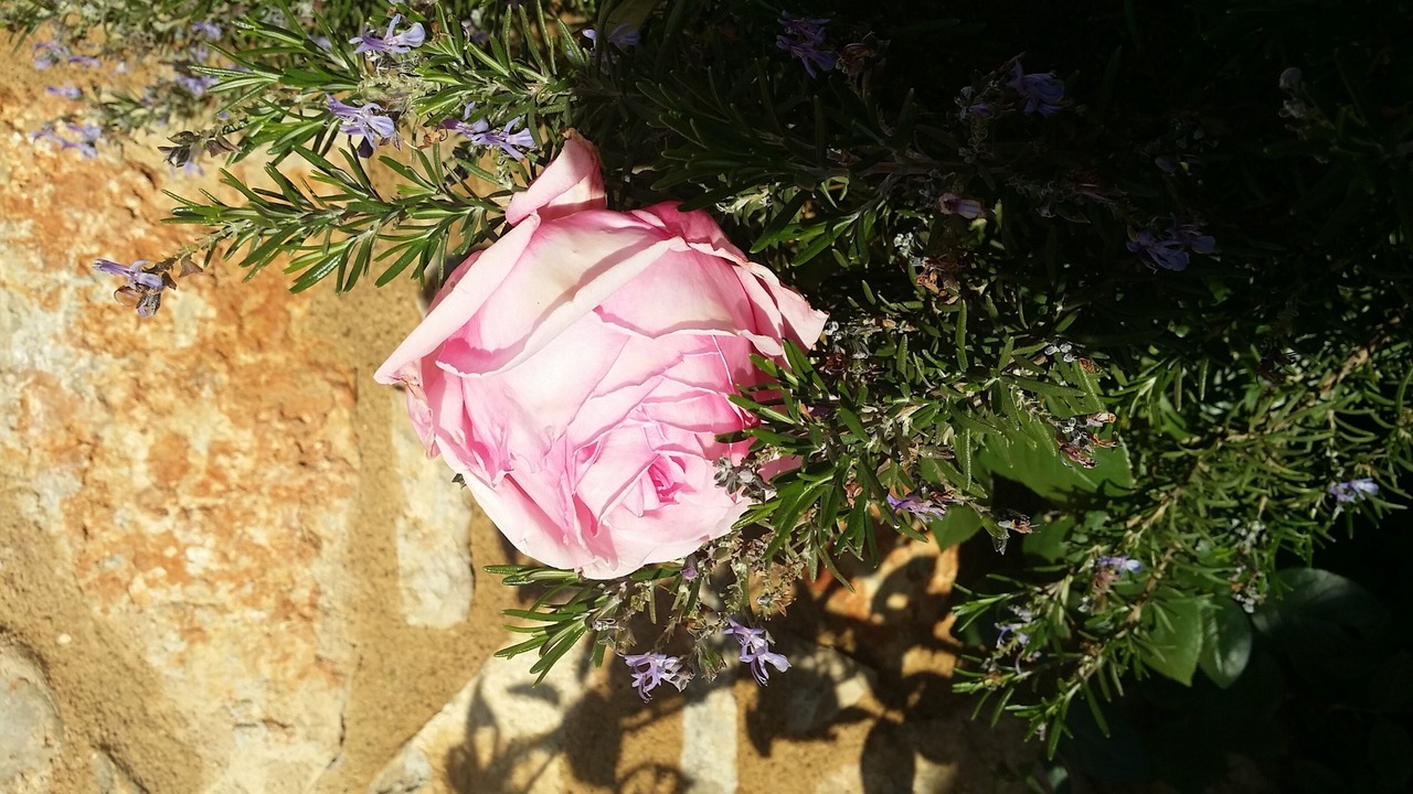 Photo of Outdoor in Theologos