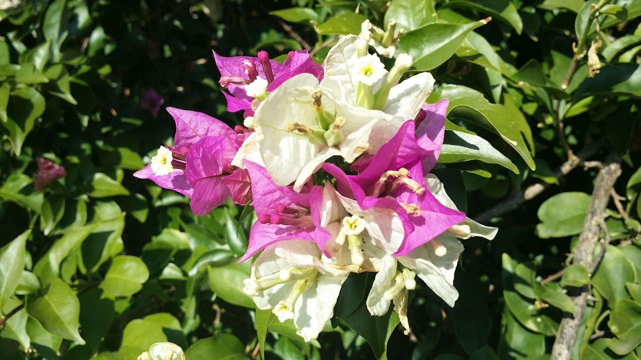 Photo of Outdoor in Theologos