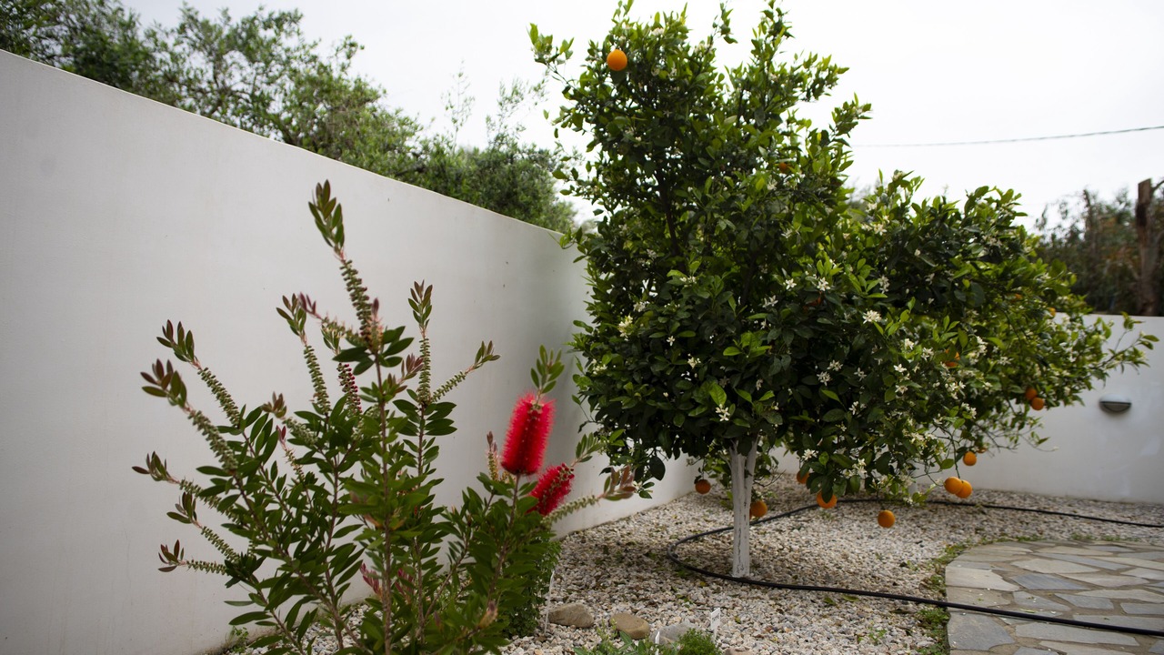Photo of Outdoor in Drapanias